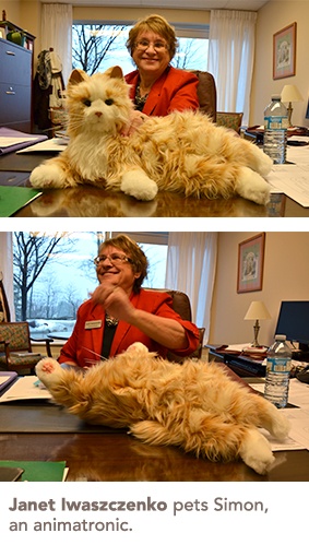 Janet Iwaszczenko pets an animatronic cat