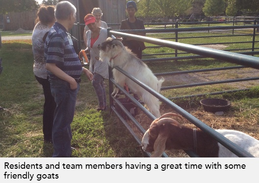 Residents and team members having a great time with some friendly goats