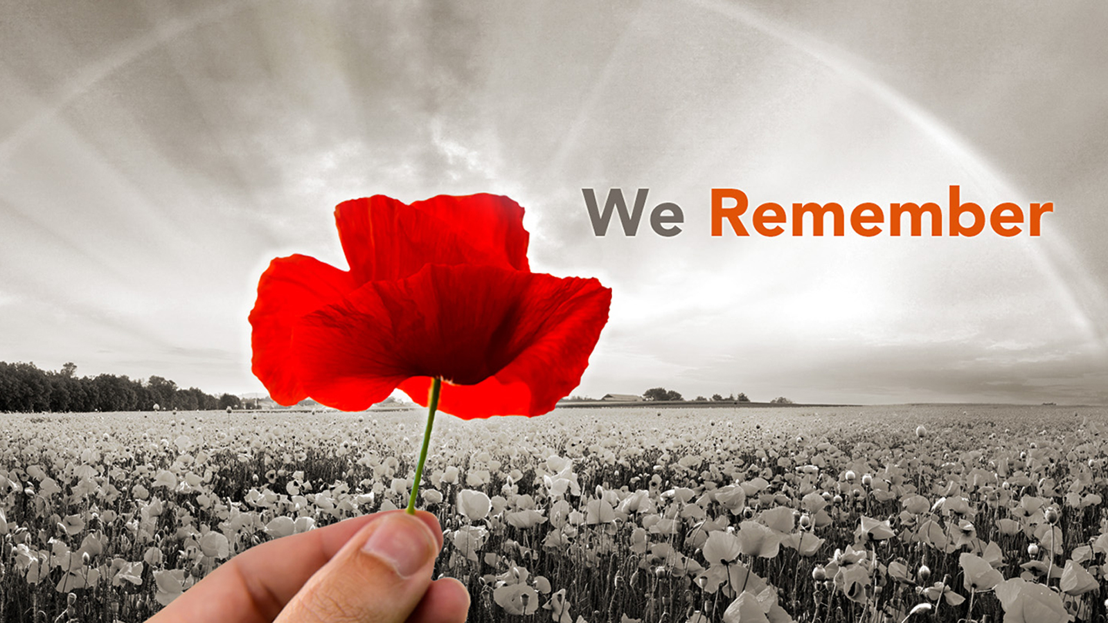 Remembrance_Header_Oct26_2021_CN_1600x900