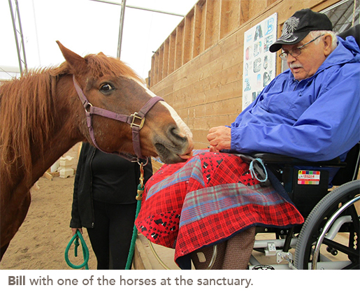 Bill with one of the horses at the sanctuary.
