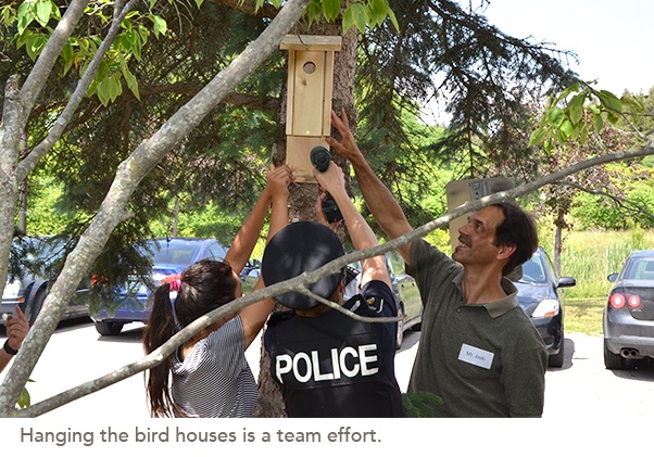 Hanging the bird houses is a team effort.